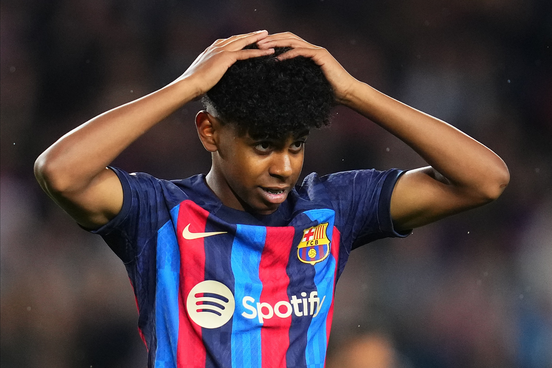 背阔肌与肩 背阔肌与肩